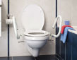 Picture of Throne 3 in 1 Toilet Rail - Powder Coated