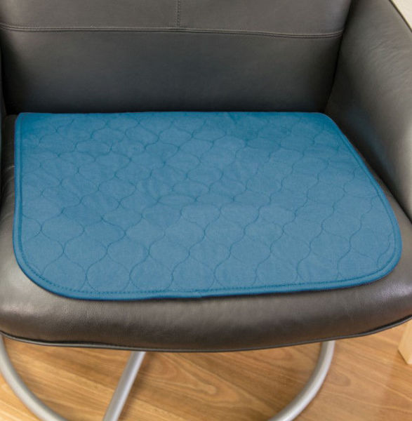 Picture of Large Chair Pad - Teal Blue